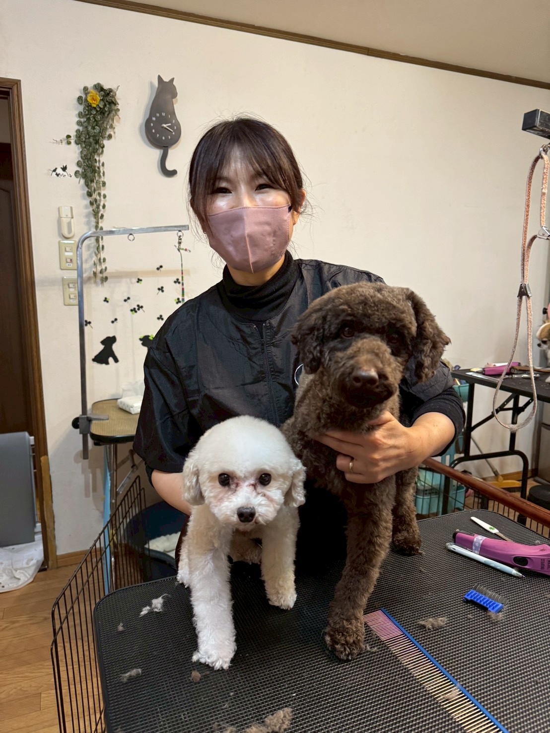 333 Dog-Care トリミングの道具店