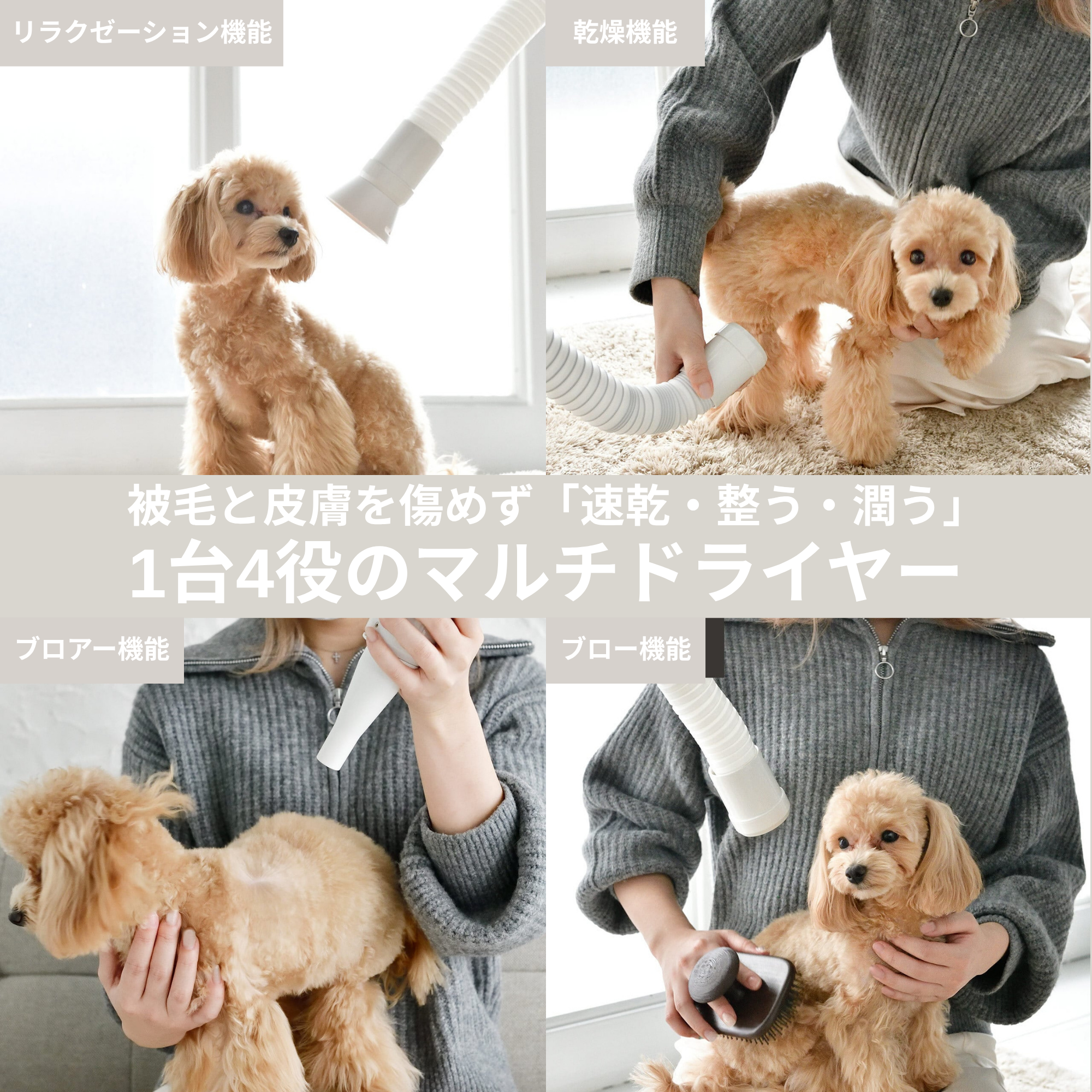 333 Dog-Care トリミングの道具店