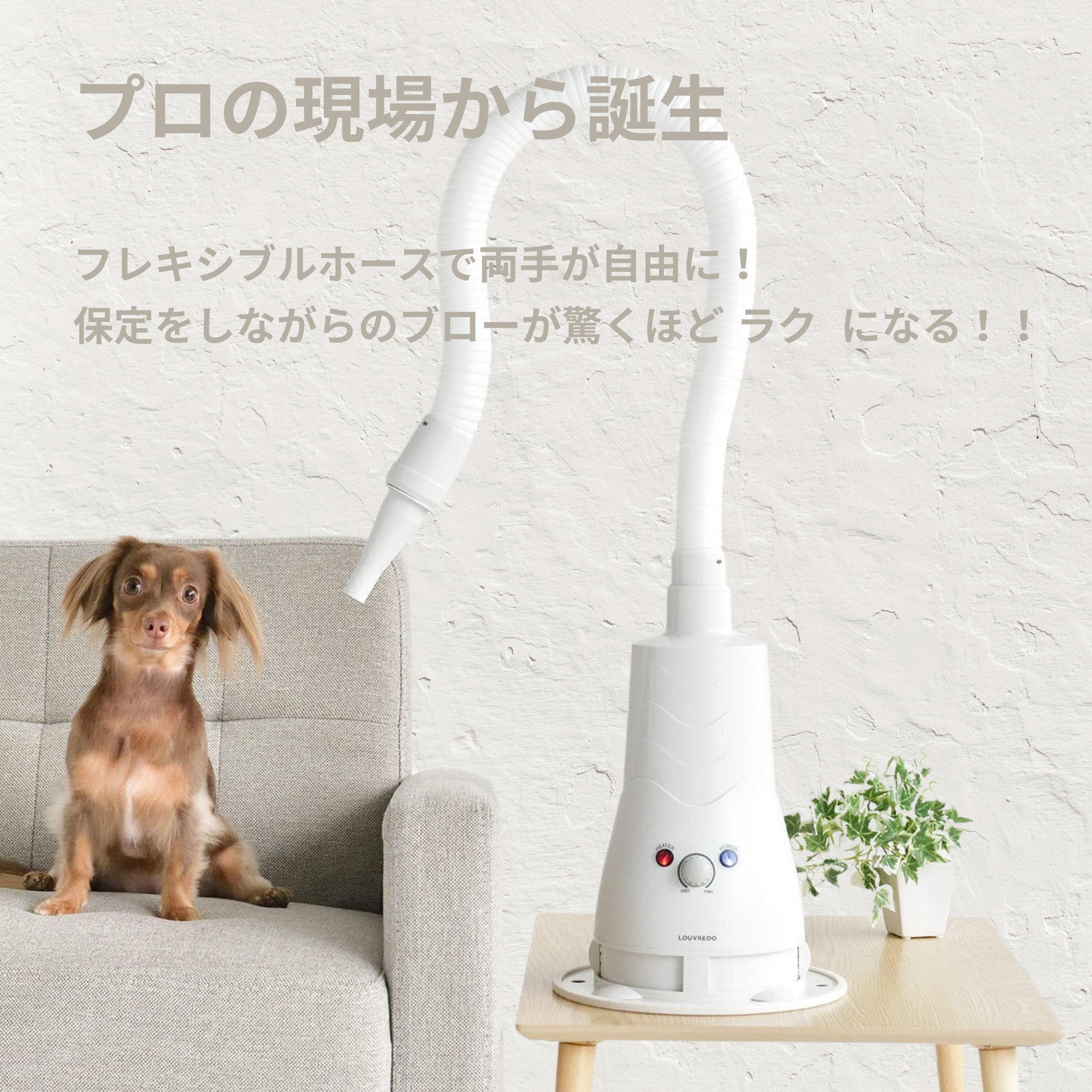 333 Dog-Care トリミングの道具店