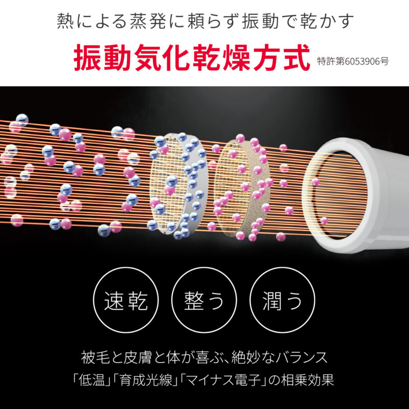 振動帰化乾燥方式 復元ドライヤ―