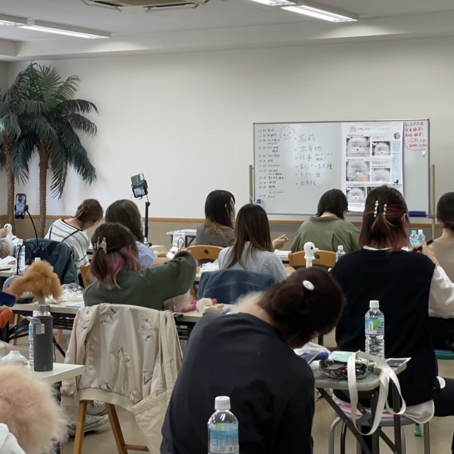 333 Dog-Care トリミングの道具店