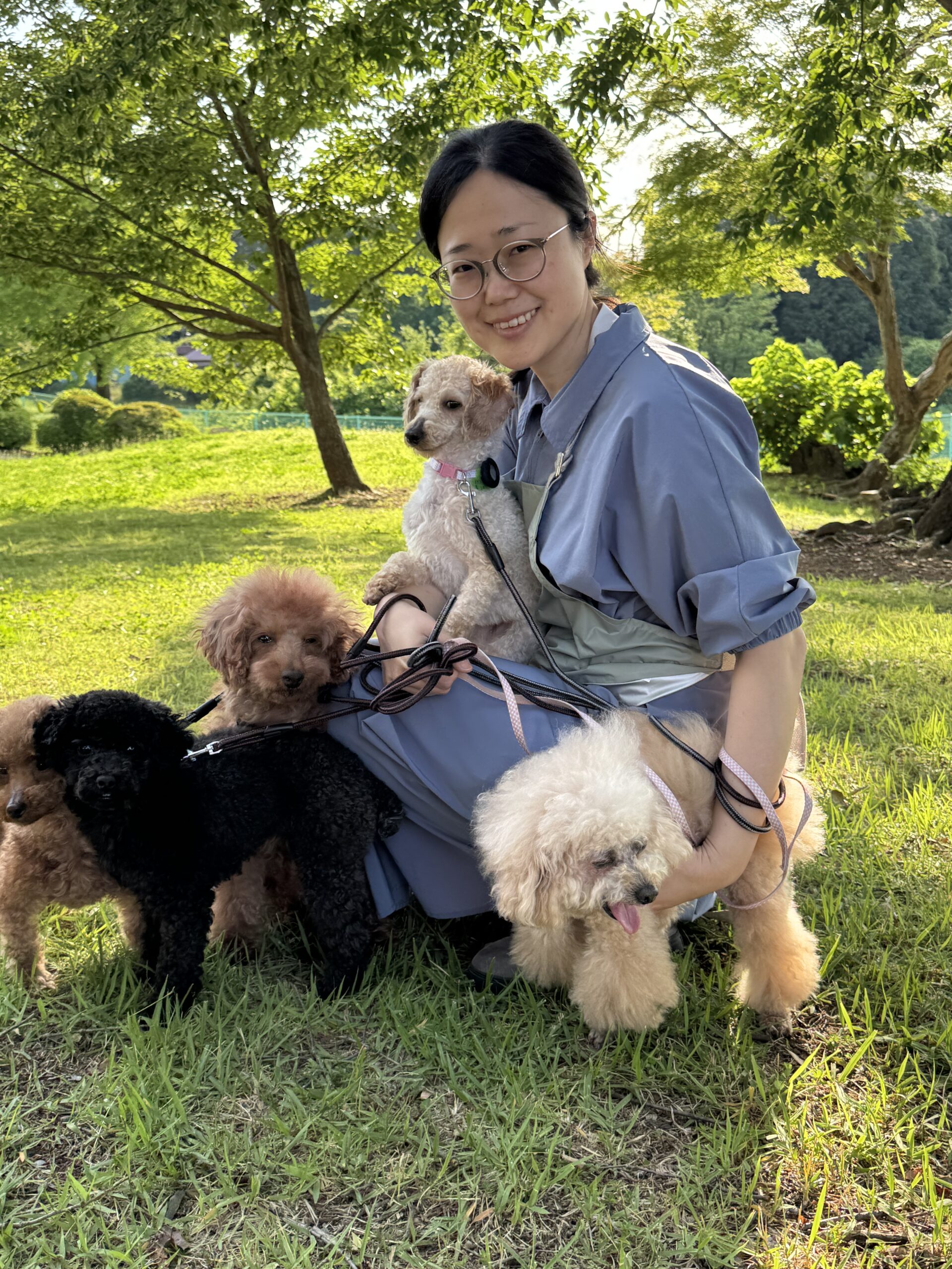 333 Dog-Care トリミングの道具店