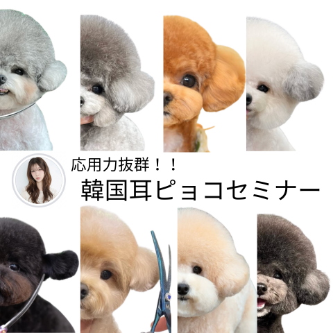 333 Dog-Care トリミングの道具店