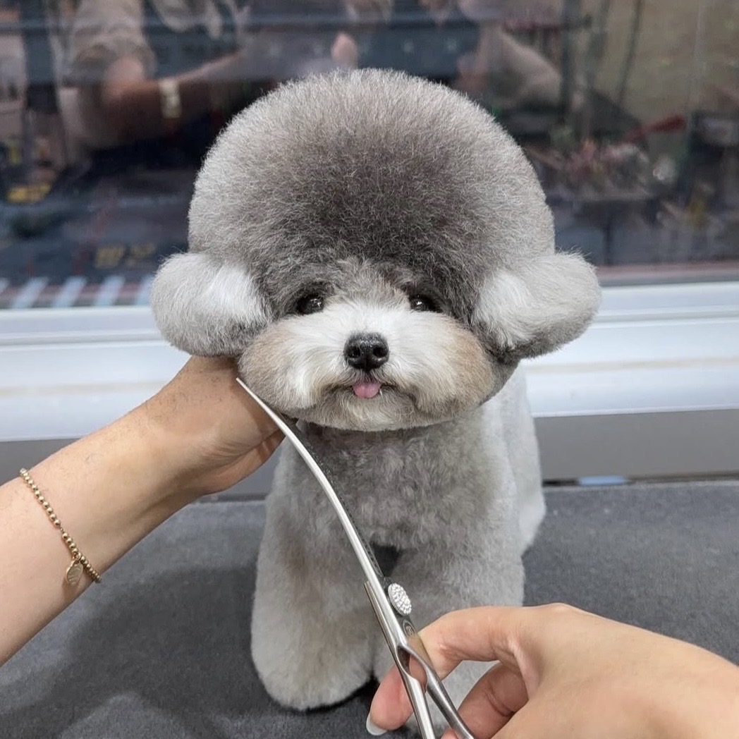 333 Dog-Care トリミングの道具店
