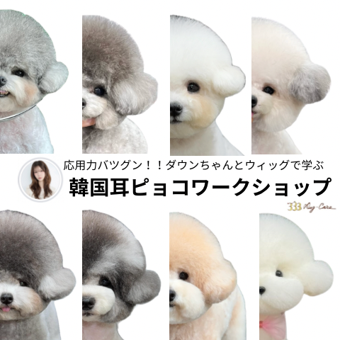 ＜ワークショップ＞ウィッグで実践！ダウンちゃんのふんわり耳ピョコカット